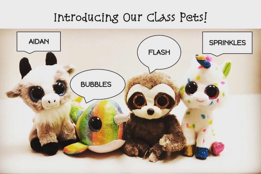 Instagram image of the pets as they build a community among my students